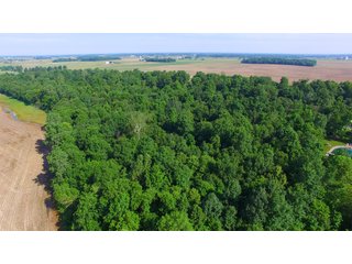Whitley County, Indiana farmland - LAND AUCTION - 156+/- ACRES OFFERED IN 5 TRACTS IN WHITLEY COUNTY, INDIANA